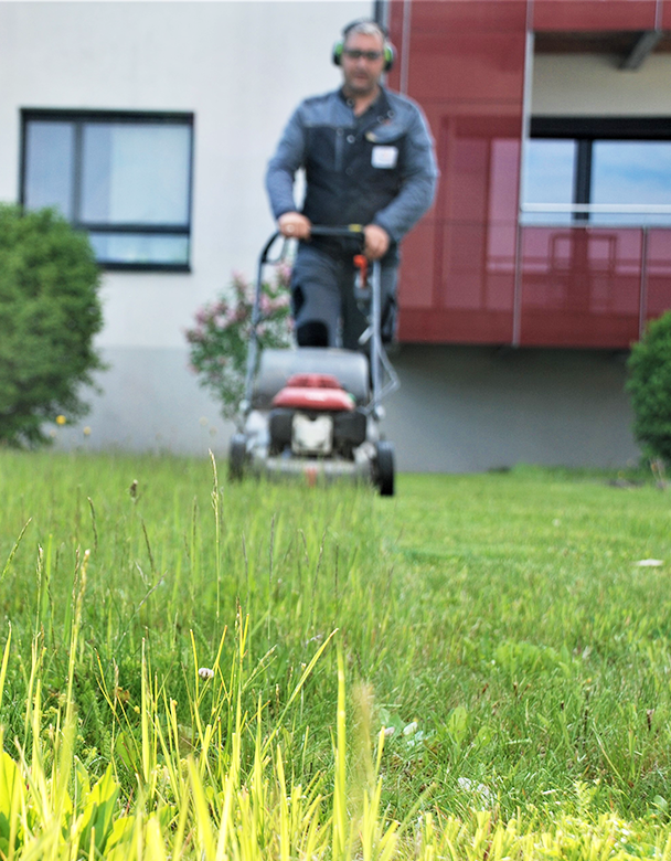 Hausbetreuung